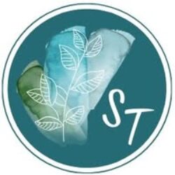 Logo for S Teller Business Solutions LLC Logo for S Teller Business Solutions LLC